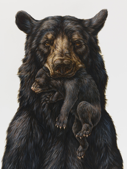 George Boorujy Bear Appalachian